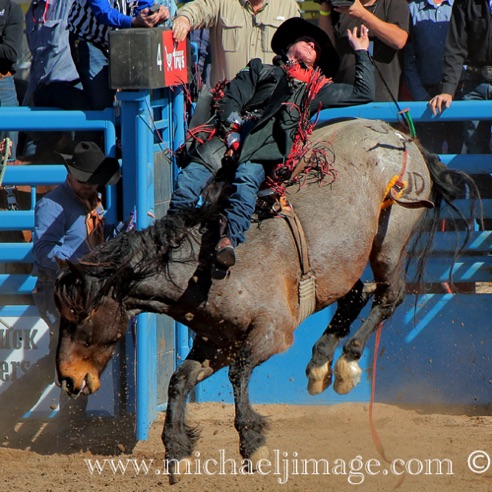 rodeo 7